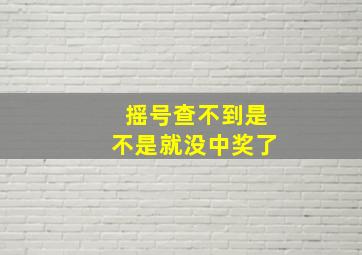 摇号查不到是不是就没中奖了