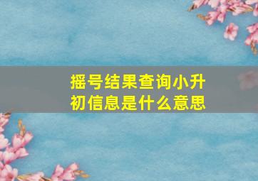 摇号结果查询小升初信息是什么意思