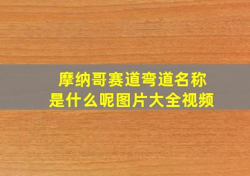 摩纳哥赛道弯道名称是什么呢图片大全视频