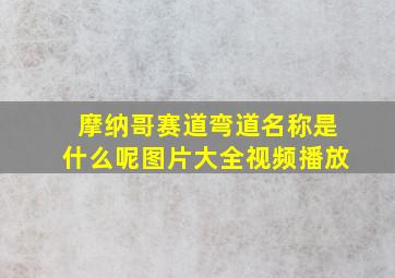 摩纳哥赛道弯道名称是什么呢图片大全视频播放