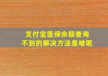 支付宝医保余额查询不到的解决方法是啥呢