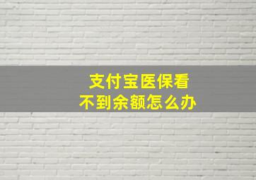 支付宝医保看不到余额怎么办