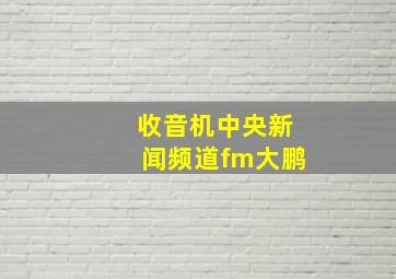 收音机中央新闻频道fm大鹏