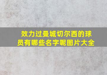 效力过曼城切尔西的球员有哪些名字呢图片大全