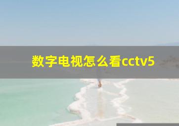 数字电视怎么看cctv5