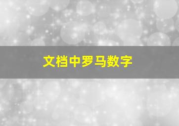 文档中罗马数字