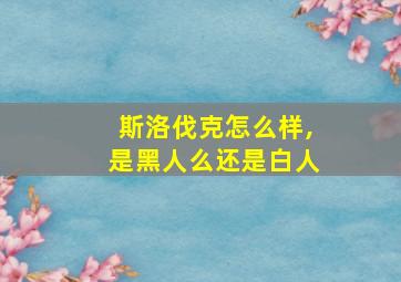 斯洛伐克怎么样,是黑人么还是白人