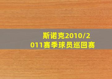 斯诺克2010/2011赛季球员巡回赛