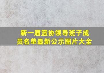 新一届篮协领导班子成员名单最新公示图片大全