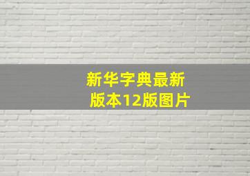 新华字典最新版本12版图片