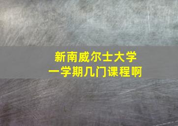 新南威尔士大学一学期几门课程啊