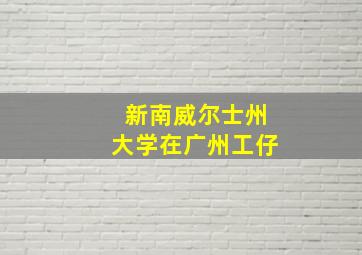 新南威尔士州大学在广州工仔