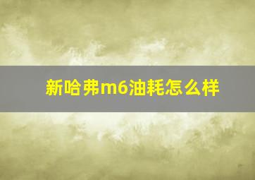 新哈弗m6油耗怎么样