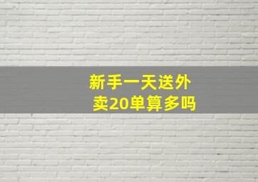 新手一天送外卖20单算多吗