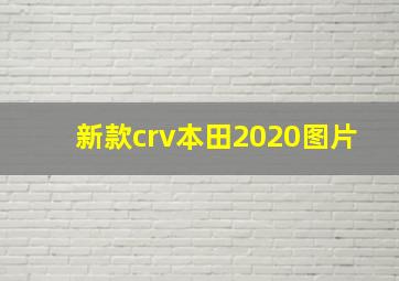 新款crv本田2020图片