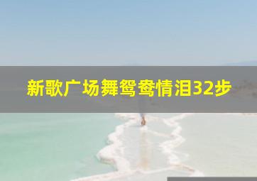 新歌广场舞鸳鸯情泪32步