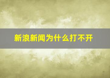 新浪新闻为什么打不开