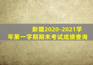 新疆2020-2021学年第一学期期末考试成绩查询