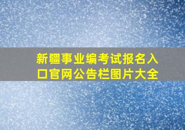 新疆事业编考试报名入口官网公告栏图片大全