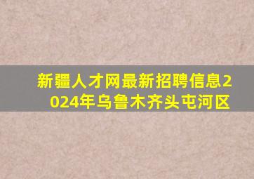 新疆人才网最新招聘信息2024年乌鲁木齐头屯河区