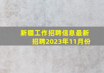 新疆工作招聘信息最新招聘2023年11月份