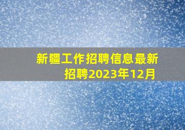 新疆工作招聘信息最新招聘2023年12月