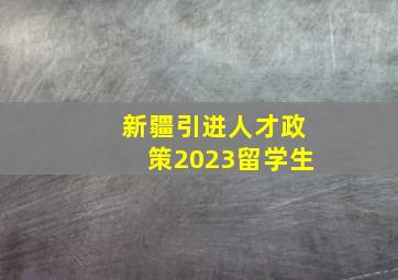 新疆引进人才政策2023留学生