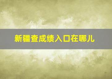 新疆查成绩入口在哪儿