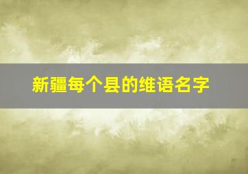 新疆每个县的维语名字