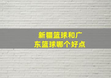 新疆篮球和广东篮球哪个好点