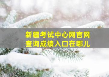 新疆考试中心网官网查询成绩入口在哪儿