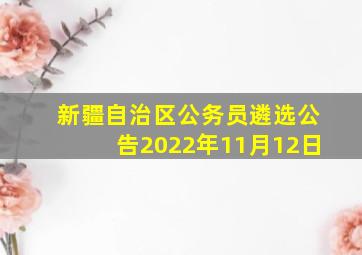 新疆自治区公务员遴选公告2022年11月12日