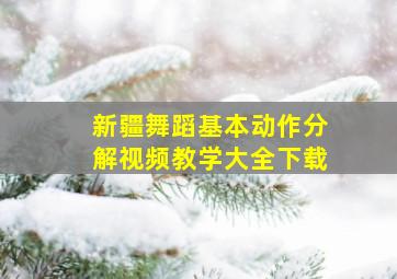 新疆舞蹈基本动作分解视频教学大全下载