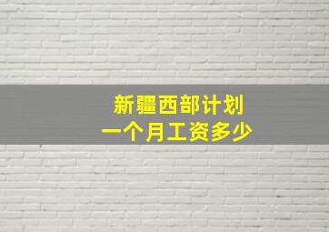 新疆西部计划一个月工资多少