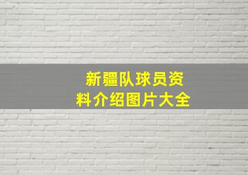 新疆队球员资料介绍图片大全