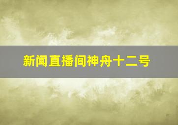 新闻直播间神舟十二号