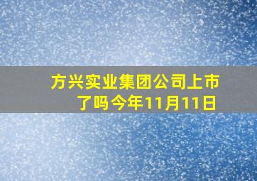 方兴实业集团公司上市了吗今年11月11日