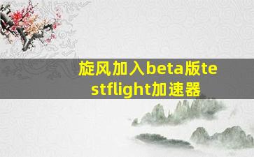 旋风加入beta版testflight加速器