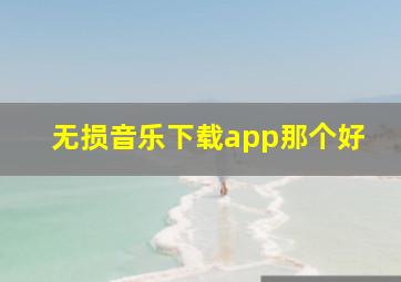 无损音乐下载app那个好