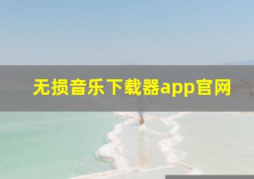 无损音乐下载器app官网