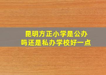 昆明方正小学是公办吗还是私办学校好一点