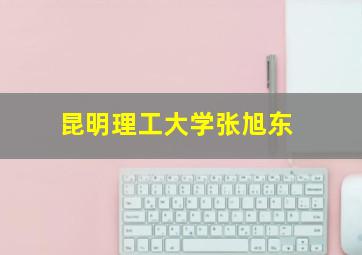 昆明理工大学张旭东