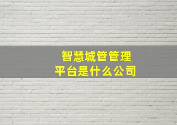 智慧城管管理平台是什么公司