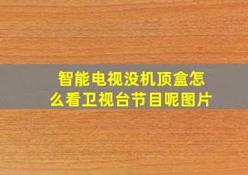 智能电视没机顶盒怎么看卫视台节目呢图片