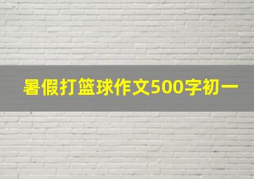 暑假打篮球作文500字初一