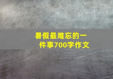 暑假最难忘的一件事700字作文