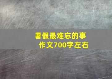 暑假最难忘的事作文700字左右