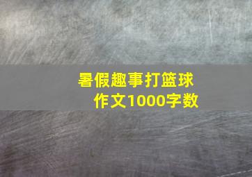 暑假趣事打篮球作文1000字数