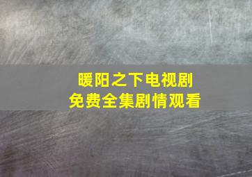 暖阳之下电视剧免费全集剧情观看