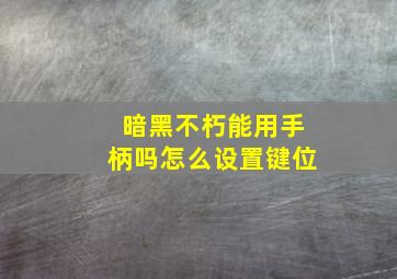 暗黑不朽能用手柄吗怎么设置键位